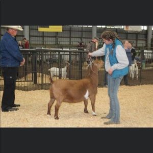 Meet your Posher, Danielle